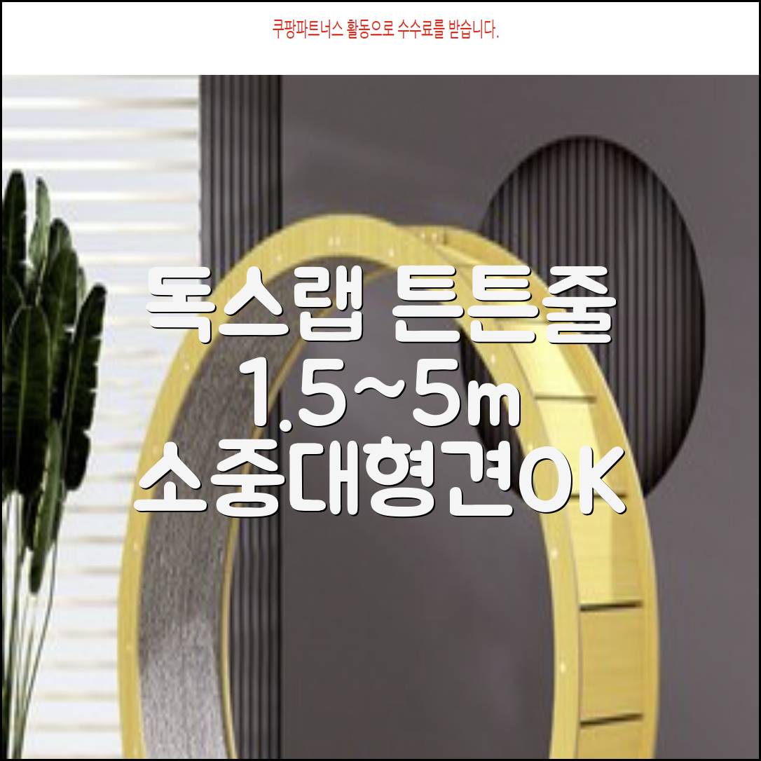 독스랩 1.5m 2m 3m 5m 스트롱 로프 소형견 중형견 대형견 줄 강아지 리드줄 산책줄, 블랙, 1개 추천 리뷰