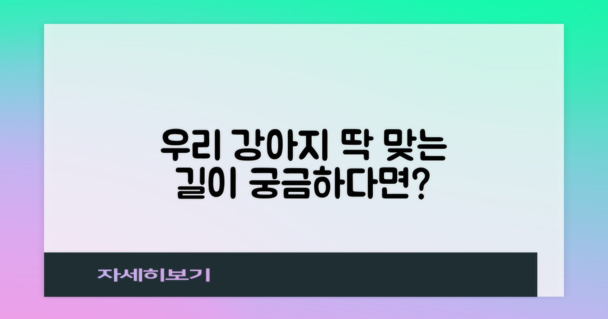 우리 강아지에게 딱 맞는 길이는?