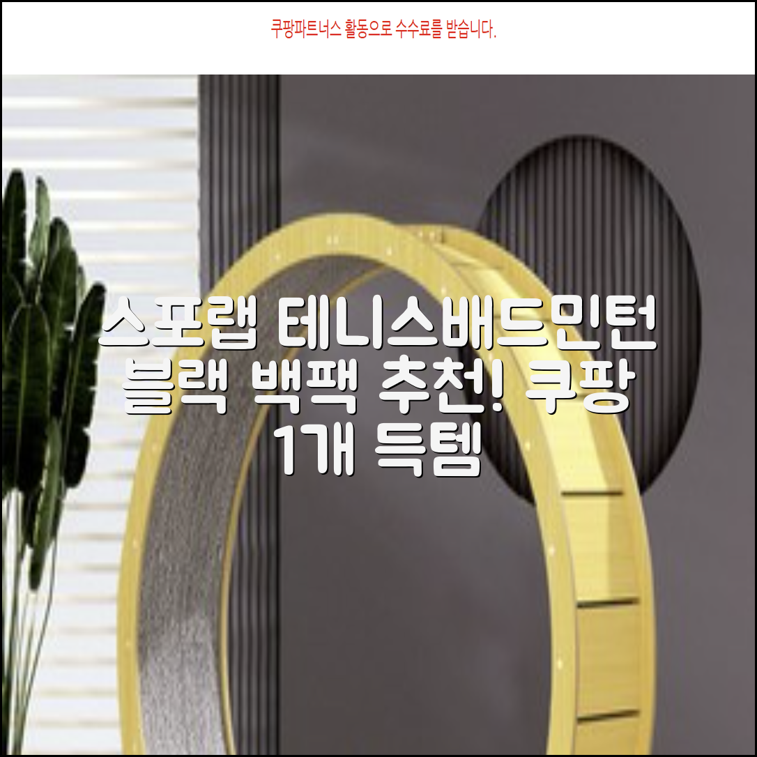 스포랩 테니스 가방 배드민턴 백팩, 블랙, 1개 추천 리뷰
