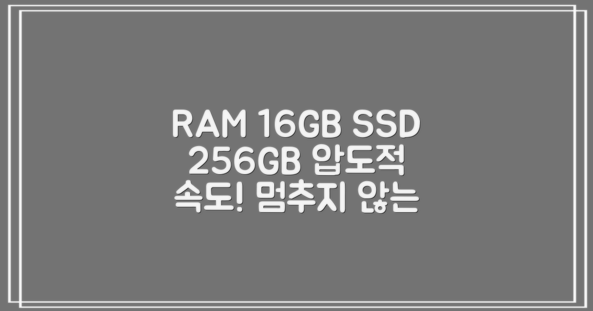 16GB RAM, 256GB SSD 속도