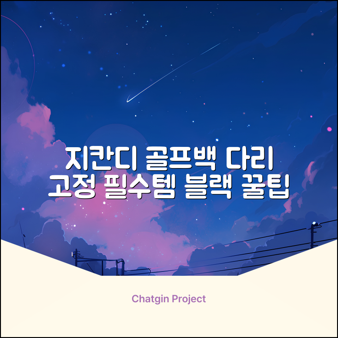 지칸디 골프 스탠드백 레그홀더 다리고정 바닥 지지대, 블랙 추천 리뷰