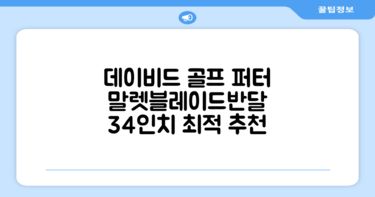 데이비드 프리미엄 투어 퍼터 말렛 블레이드 + 자석티 증정 퍼트 반달 일자, 34인치 추천 리뷰