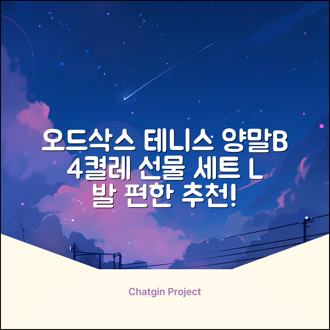 [오드삭스] 테니스 양말 세트B 4켤레 선물용, L(255mm-275mm), 1개 추천 리뷰