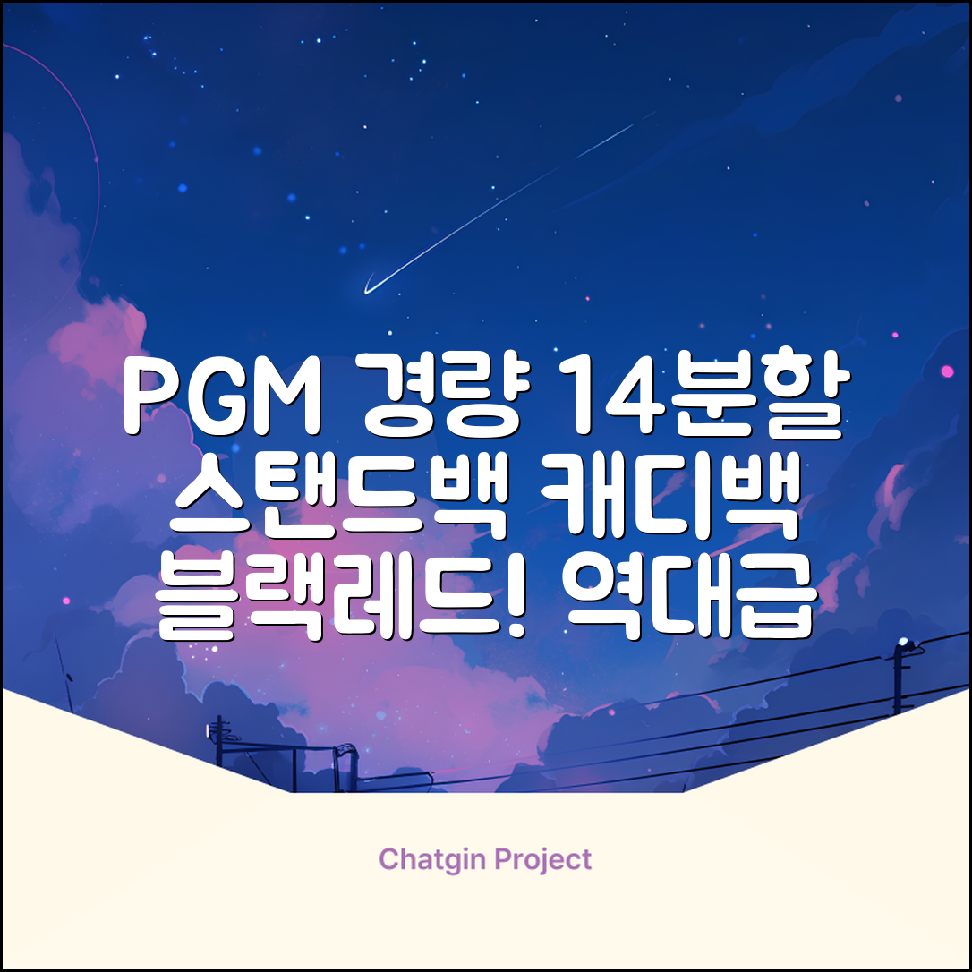 피지엠코리아 PGM 경량 14분할 골프백 스탠드백 캐디백, 블랙레드 추천 리뷰