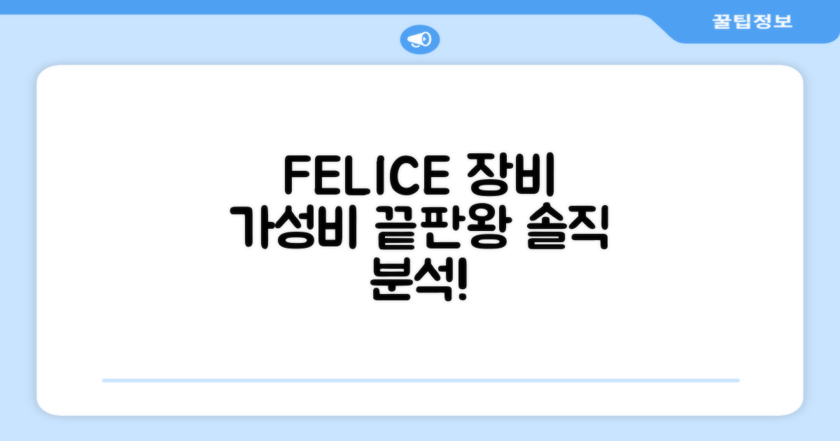 FELICE 장비, 가성비 분석