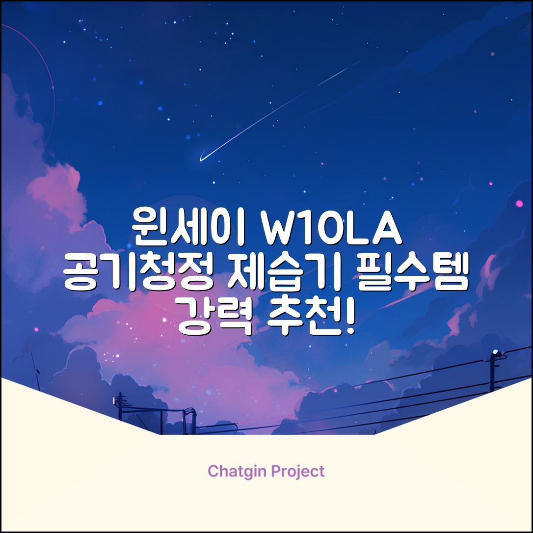 윈세이 인버터 방하나 공기청정 제습기 10L W10LA 추천 리뷰