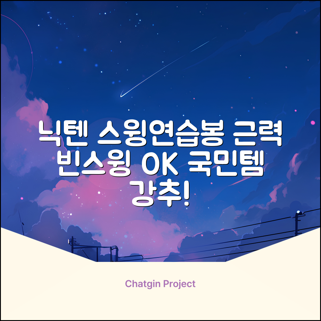 닉텐 배드민턴 스윙연습봉 - 근력강화 및 빈스윙연습, 1개, 스윙연습기 추천 리뷰