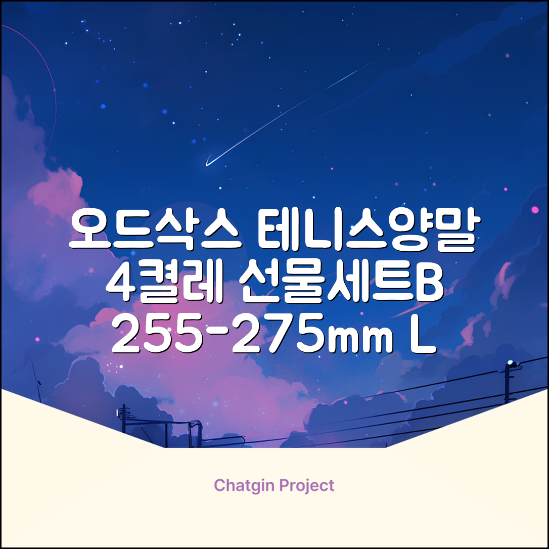 [오드삭스] 테니스 양말 세트B 4켤레 선물용, L(255mm-275mm), 1개 추천 리뷰