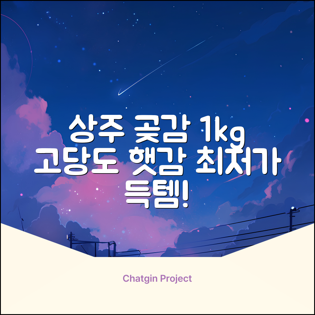 상주 곶감 초특가 1kg 고당도 햇감, 1개 추천 리뷰