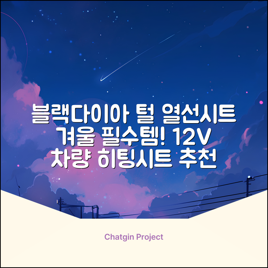 블랙다이아 차량용 열선시트 (1P) 털 겨울 히팅 전기시트, 1개, 12V (운전/조수석) 추천 리뷰