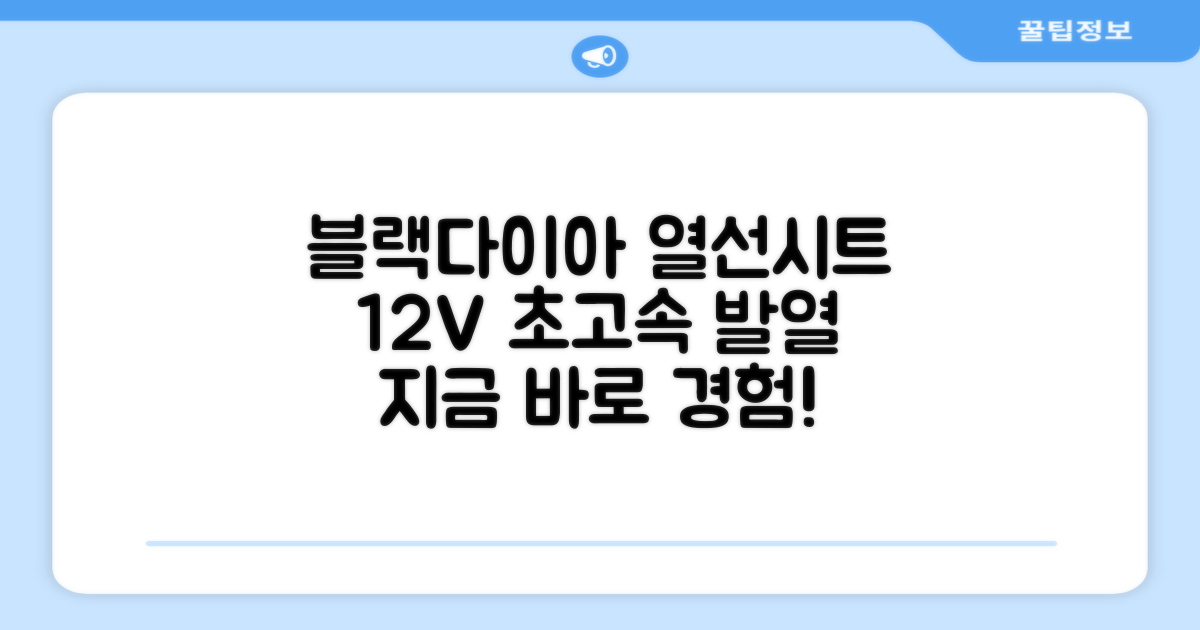 12V 블랙다이아 열선시트, 바로 경험하세요!