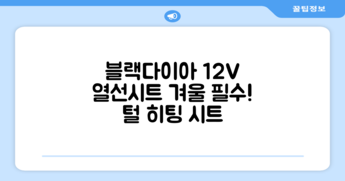 블랙다이아 차량용 열선시트 (1P) 털 겨울 히팅 전기시트, 1개, 12V (운전/조수석) 추천 리뷰