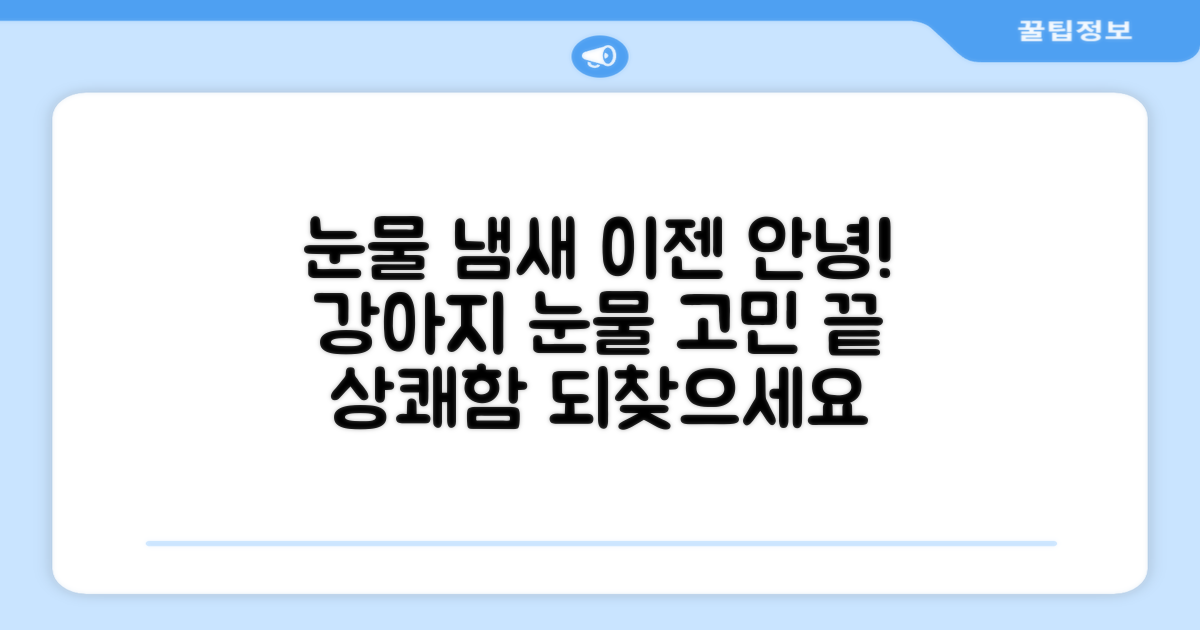 강아지 눈물 냄새, 이제 안녕!