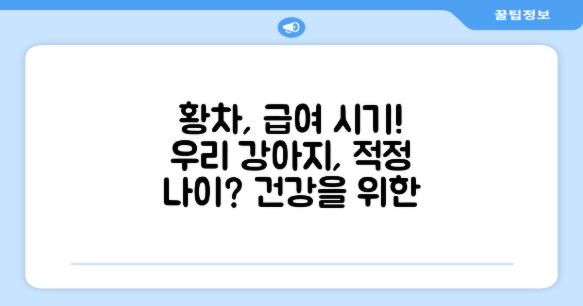 우리 강아지에게 황차 급여 시기