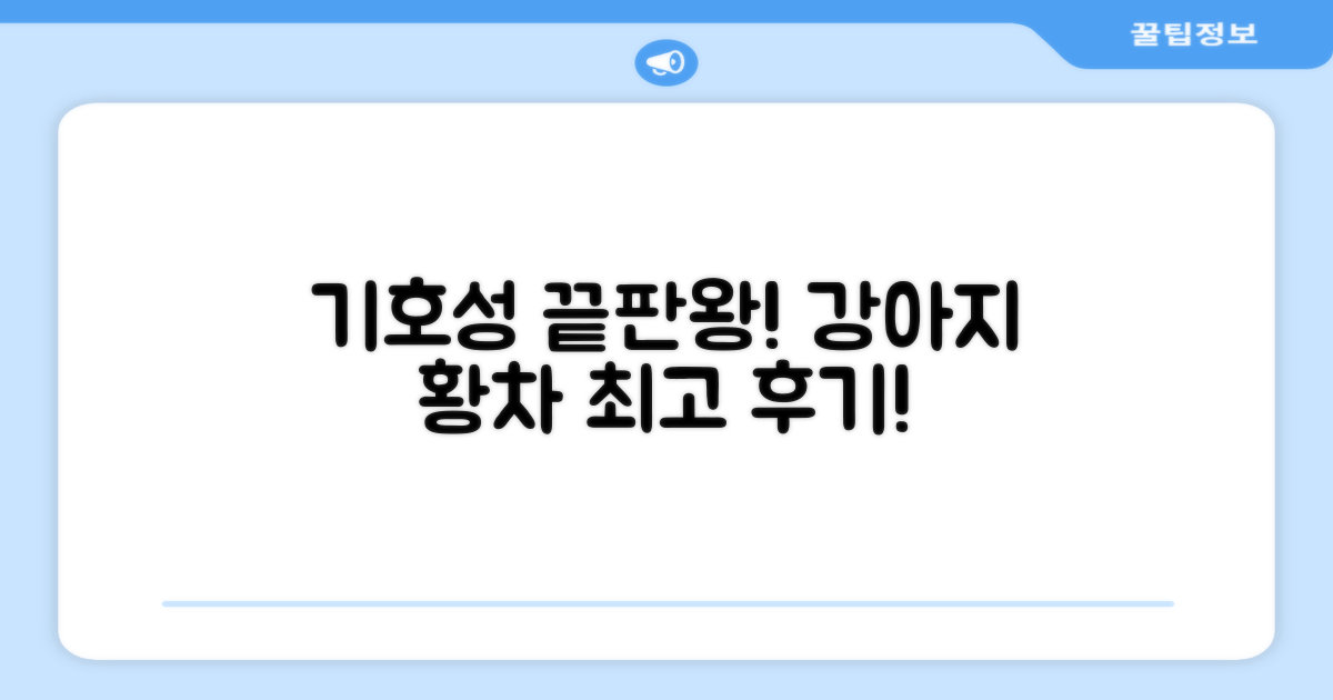 기호성 최고! 강아지 황차 후기