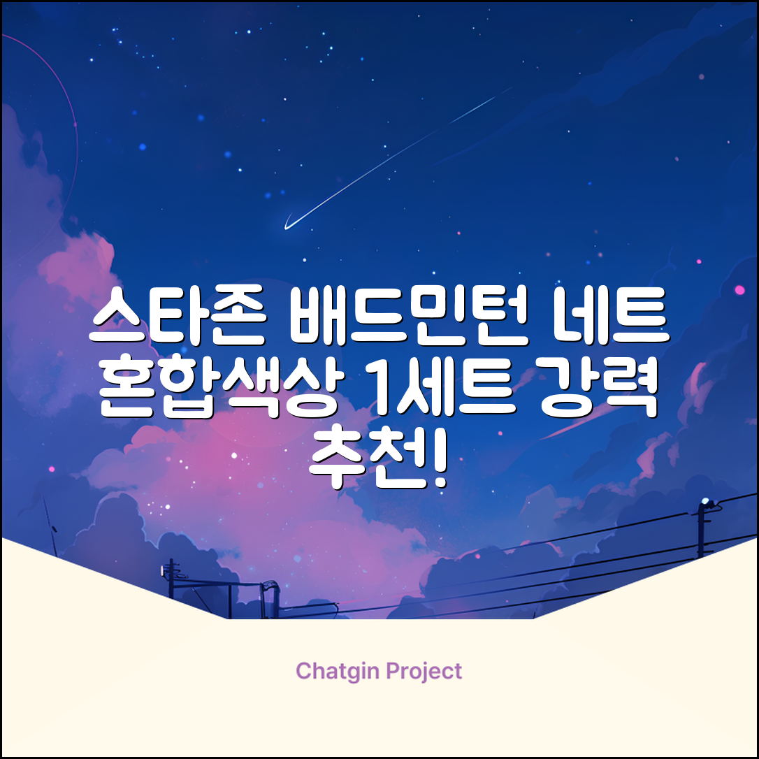 스타존 배드민턴 그물 네트 + 가방, 혼합색상, 1세트 추천 리뷰