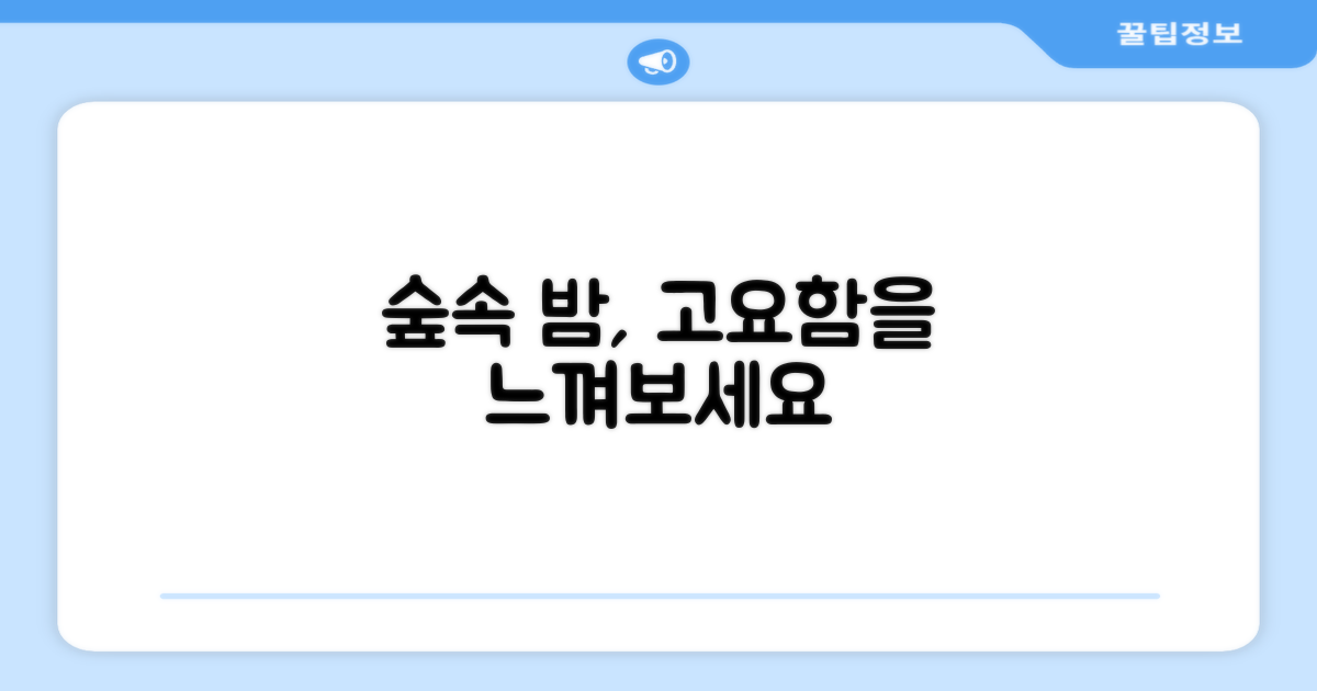 숲속의밤으로 조용함을 경험하세요