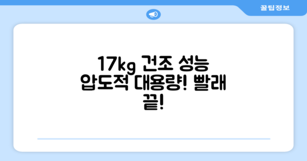 17kg 대용량 건조 성능