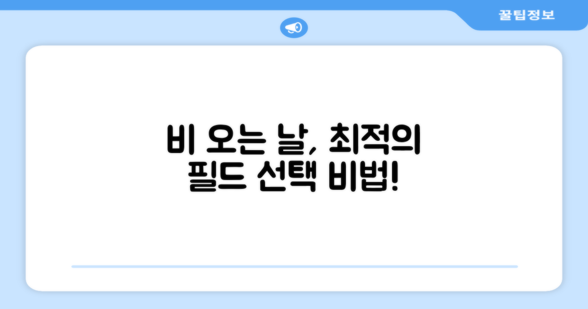 비 오는 날 필드, 최적의 선택