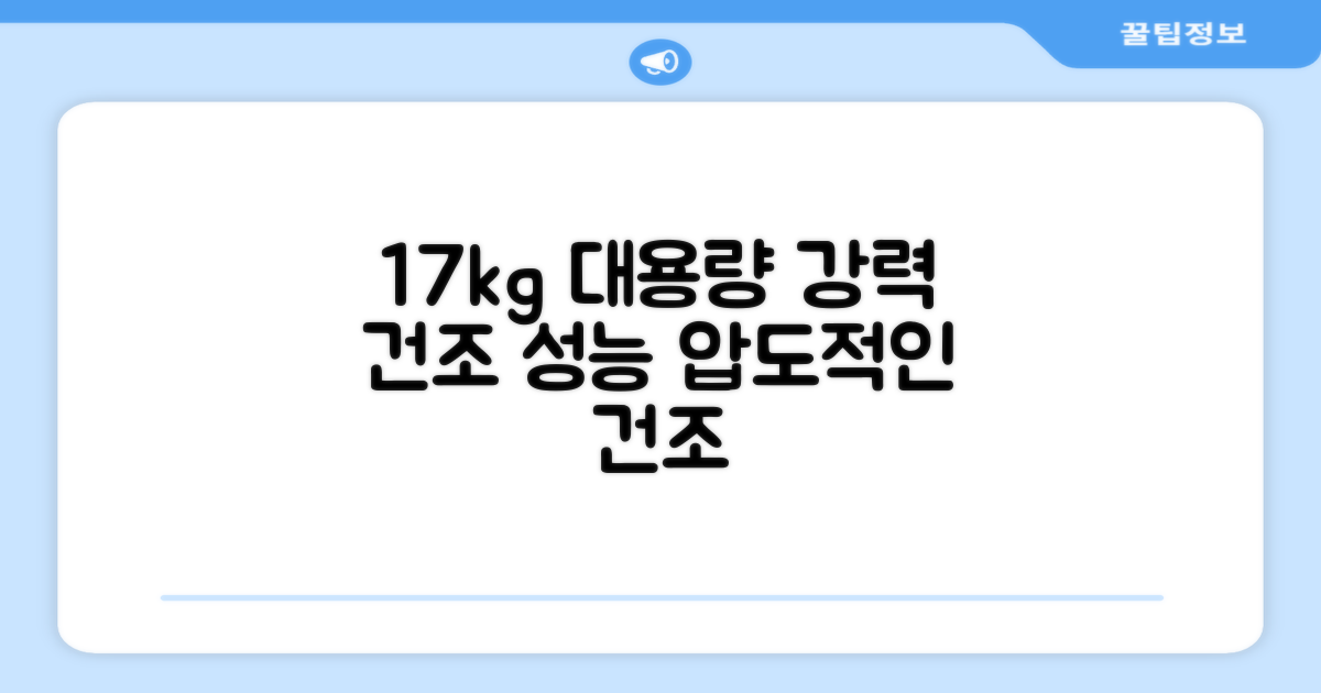 17kg 대용량, 강력한 건조 성능